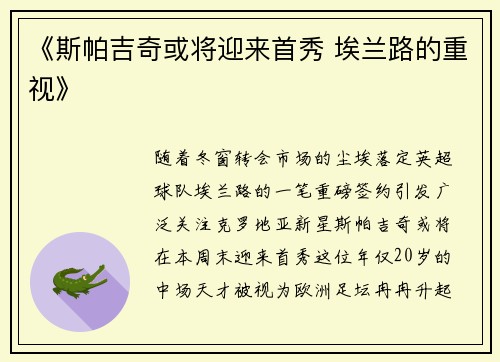 《斯帕吉奇或将迎来首秀 埃兰路的重视》